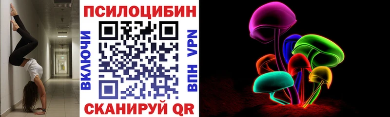 Псилоцибиновые грибы Psilocybe МЕГА ссылка Чусовой